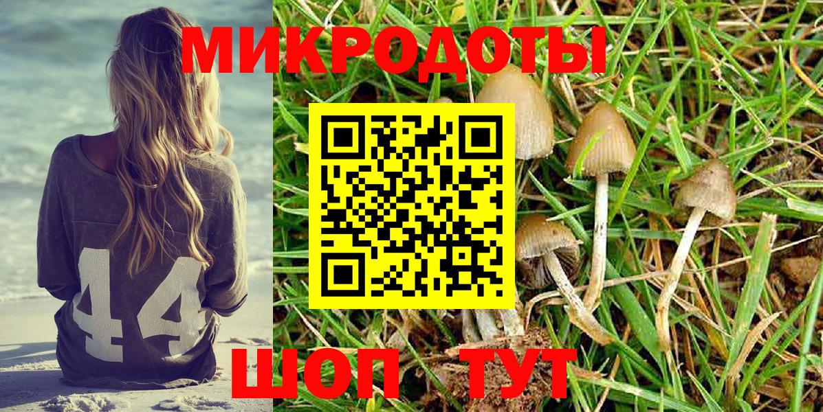 Псилоцибиновые грибы Psilocybine cubensis  Вход с VPN  Псилоцибиновые грибы мицелий  Соль-Илецк 